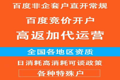 百度竞价排名实战：某电商平台的成功之路