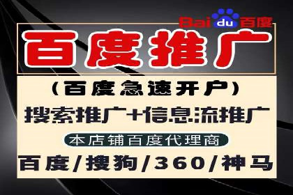 百度推广实战攻略：案例与技巧
